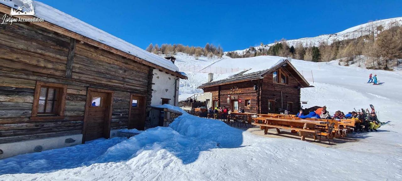 Mountain Scoiattolo By Chalet
