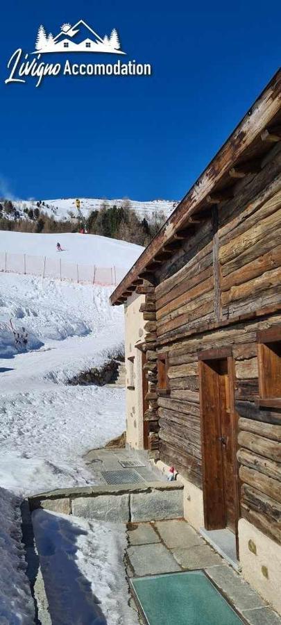 Chalet Mountain Scoiattolo By *