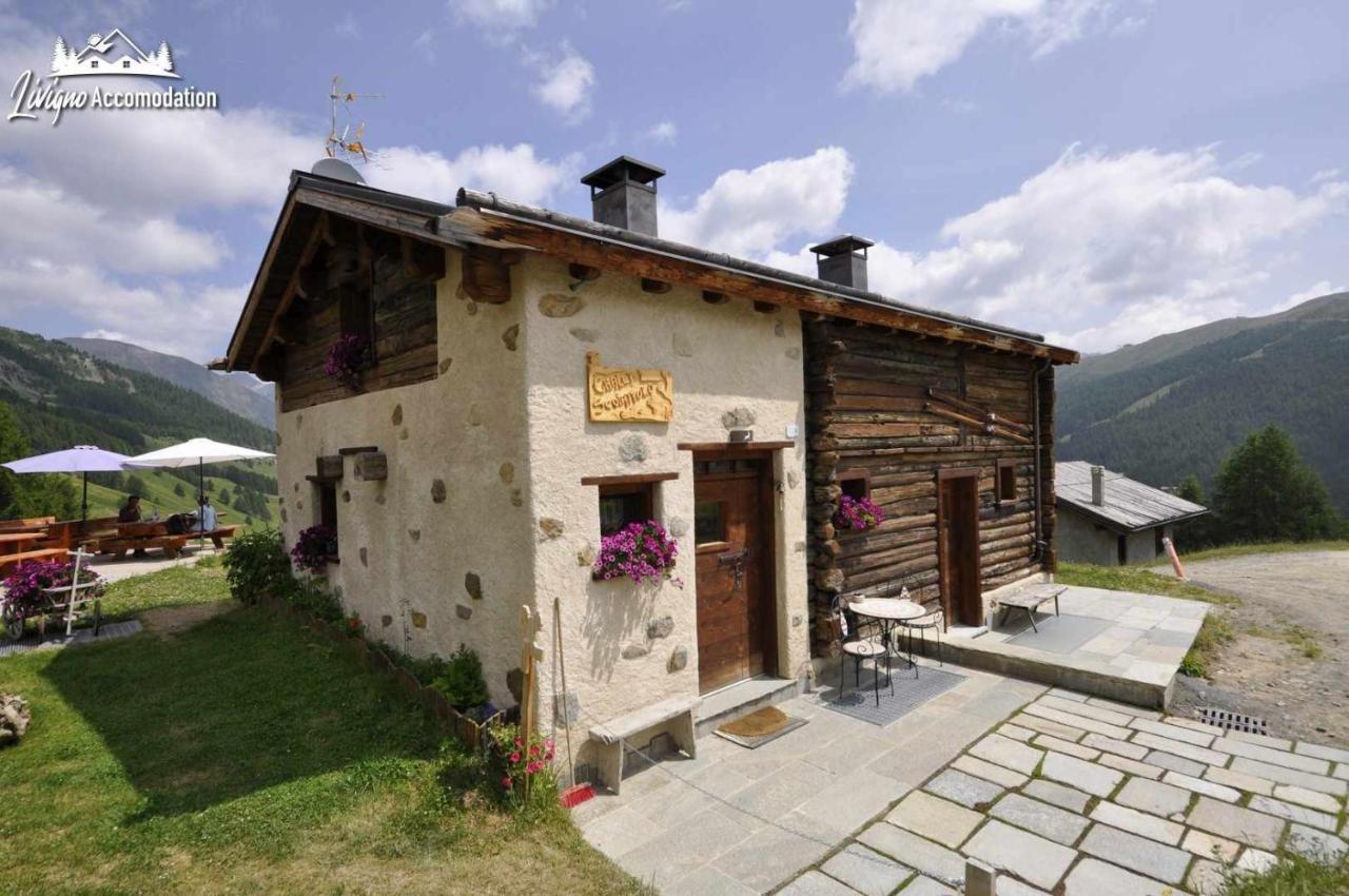 Mountain Scoiattolo By Chalet Livigno