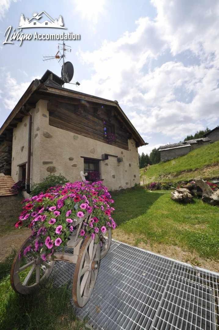 Chalet Mountain Scoiattolo By Livigno