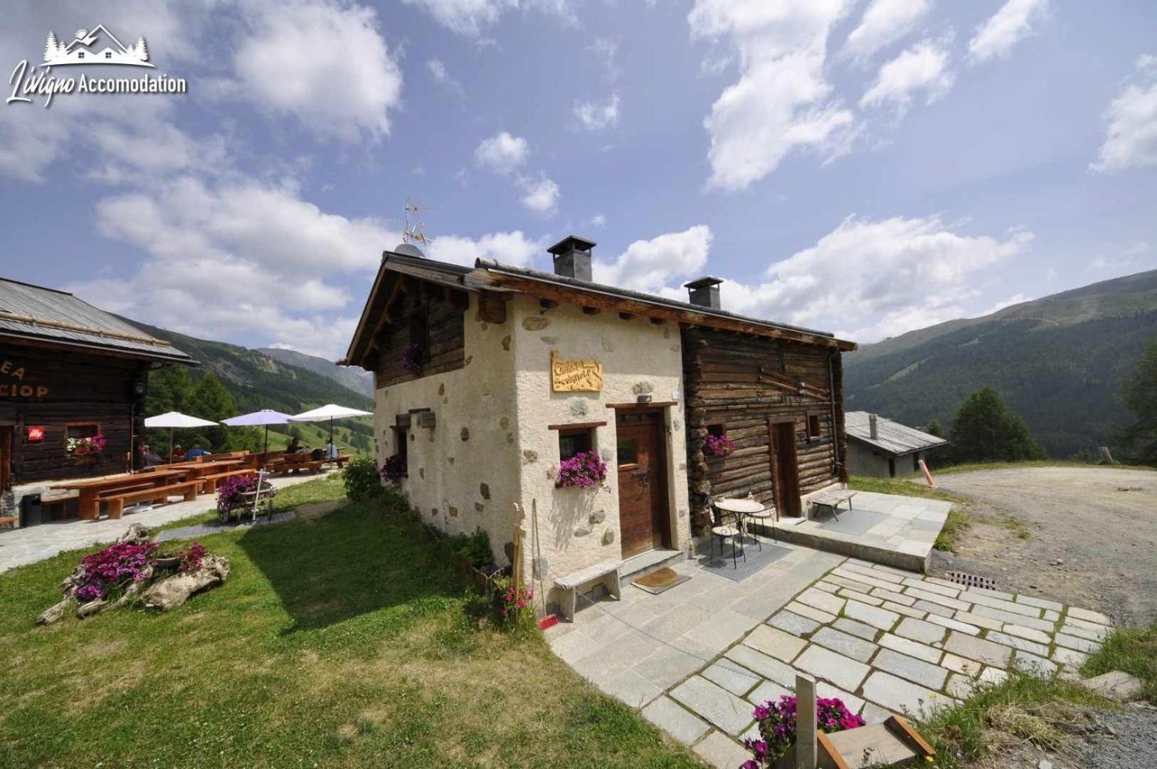 Chalet Mountain Scoiattolo By